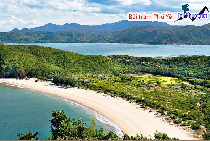 Bãi tràm Phú Yên đẹp tuyệt vời