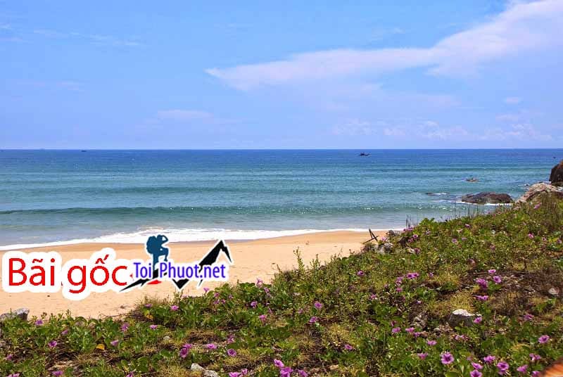 Bãi gốc, bãi biển đẹp ở Phú Yên
