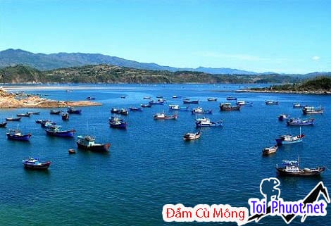 Cảnh non sông nước biếc và thuyền ghe neo đậu trữ tình ở Đầm Cù Mông