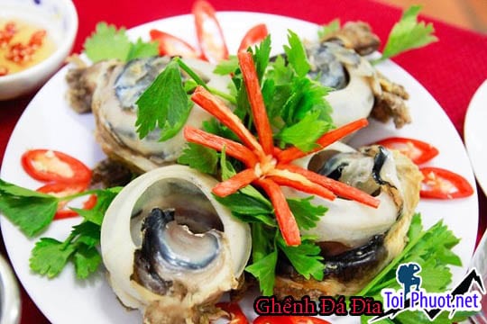 Du lịch Ghềnh Đá Đĩa Phú Yên - Đặc sản Ghềnh Đá Đĩa