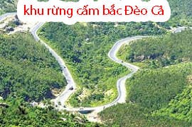 Khu rừng cấm Bắc đèo Cả, điểm du lịch sinh thái hấp dẫn