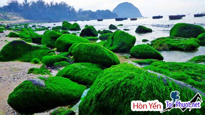 Rêu xanh phủ kín đá ở Hòn Yến