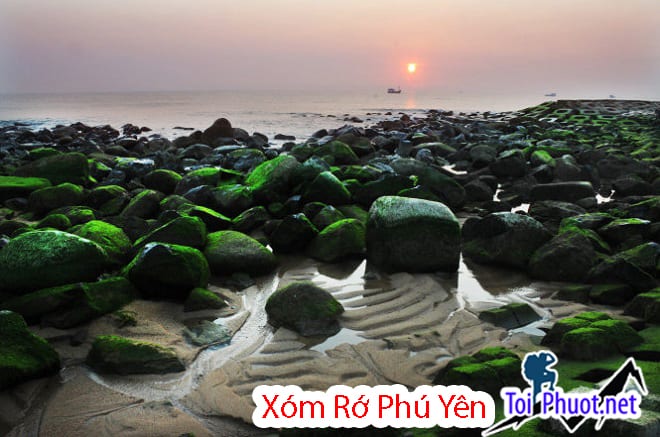 Xóm Rớ Phú yên, bờ kè chắn sóng phủ rêu xanh mướt đẹp lung linh