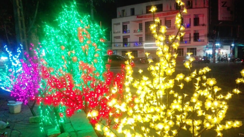 Cây hoa đào, mai, liễu đèn led, thanh lý giá rẻ toàn quốcb