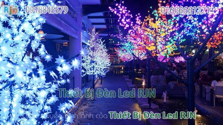 Cây hoa đào, mai, liễu đèn led, thanh lý giá rẻ toàn quốcf