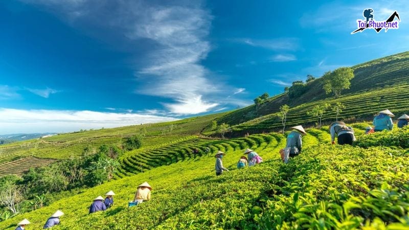 5 địa điểm du lịch checkin sống ảo Gia Nghĩa Đắk Nông không thể bỏ qua