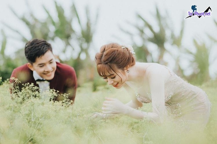 Chụp ảnh cưới Tuy Hoà Phú Yên trên cánh đồng hoa
