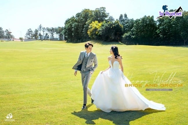 Hoa vàng cỏ xanh chụp ảnh cưới Tuy Hoà Phú Yên