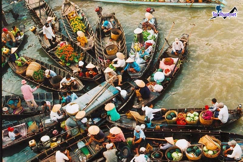 Mách bạn Kinh nghiệm du lịch Thành phố Cần Thơ thú vị