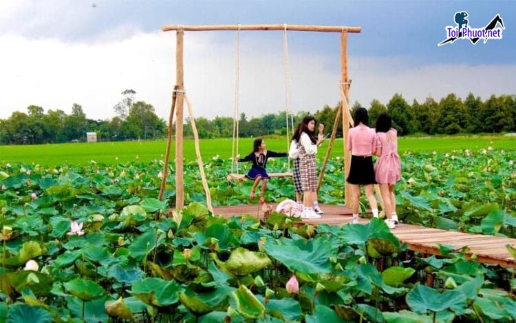 Top 5 địa điểm du lịch checkin sống ảo Cao Lãnh Đồng Tháp thú vị
