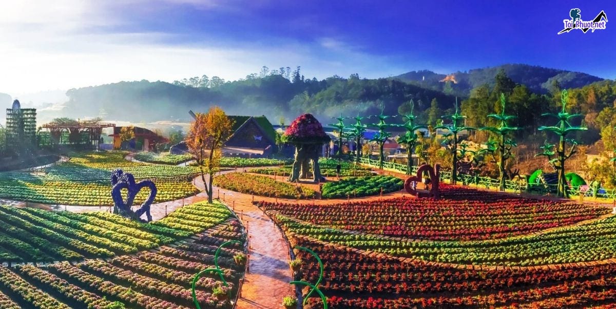 Thời điểm tốt nhất Kinh Nghiệm du lịch Đà Lạt Lâm Đồng