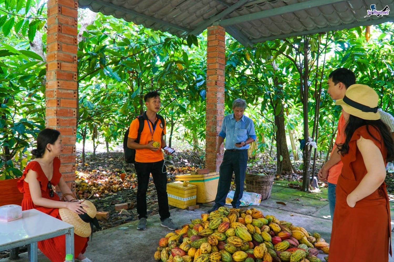 Kinh Nghiệm Du Lịch Cần Thơ điểm đến nổi tiếng thủ phủ miền Tây