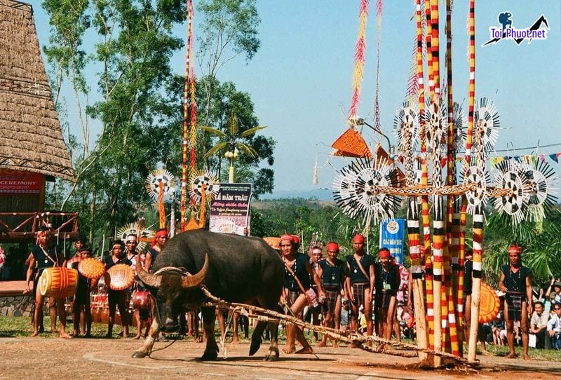 Kinh Nghiệm Du Lịch PleiKu Gia Lai bật mí nhưng điều chi tiết cần thiết nhất