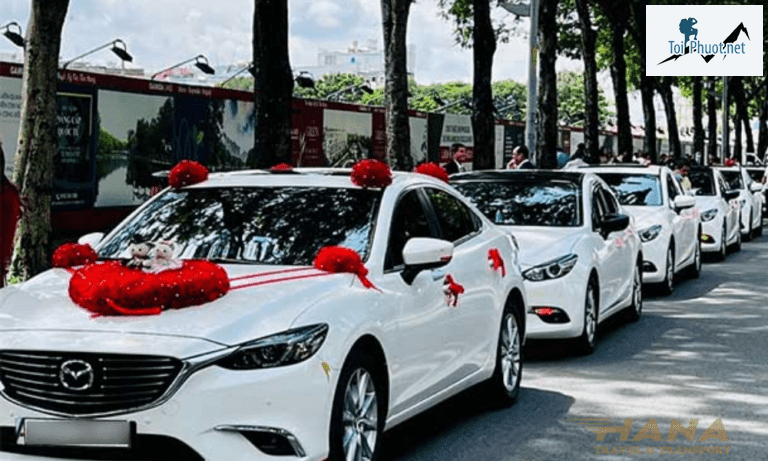 Cho thuê xe đám cưới hỏi Vĩnh Long giá rẻ giao tận nơi