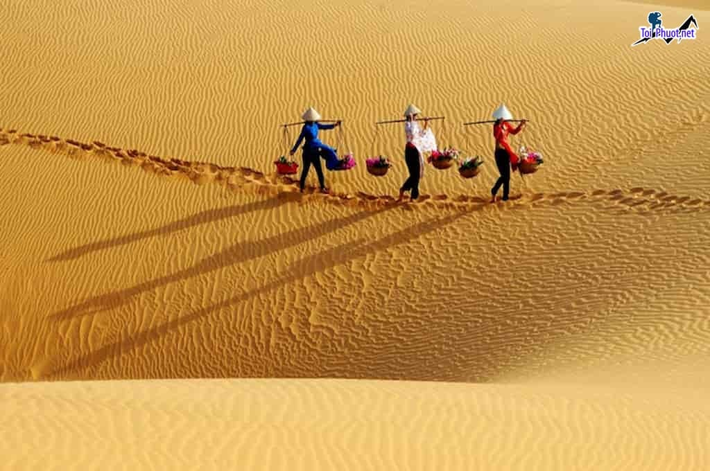 Dịch vụ cắm trại qua đêm trên đồi cát Mũi Dinh 2 Ngày 1 Đêm Trọn Gói