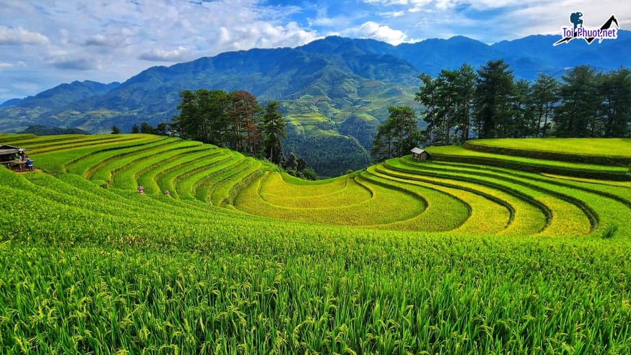 Dịch vụ du lịch chụp ảnh ruộng bậc thang một kiệt tác được người dân vùng cao