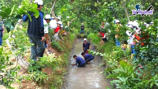 Dịch vụ du lịch sinh thái miệt vườn khám phá ẩm thực và nét đẹp chân chất của con người (3)