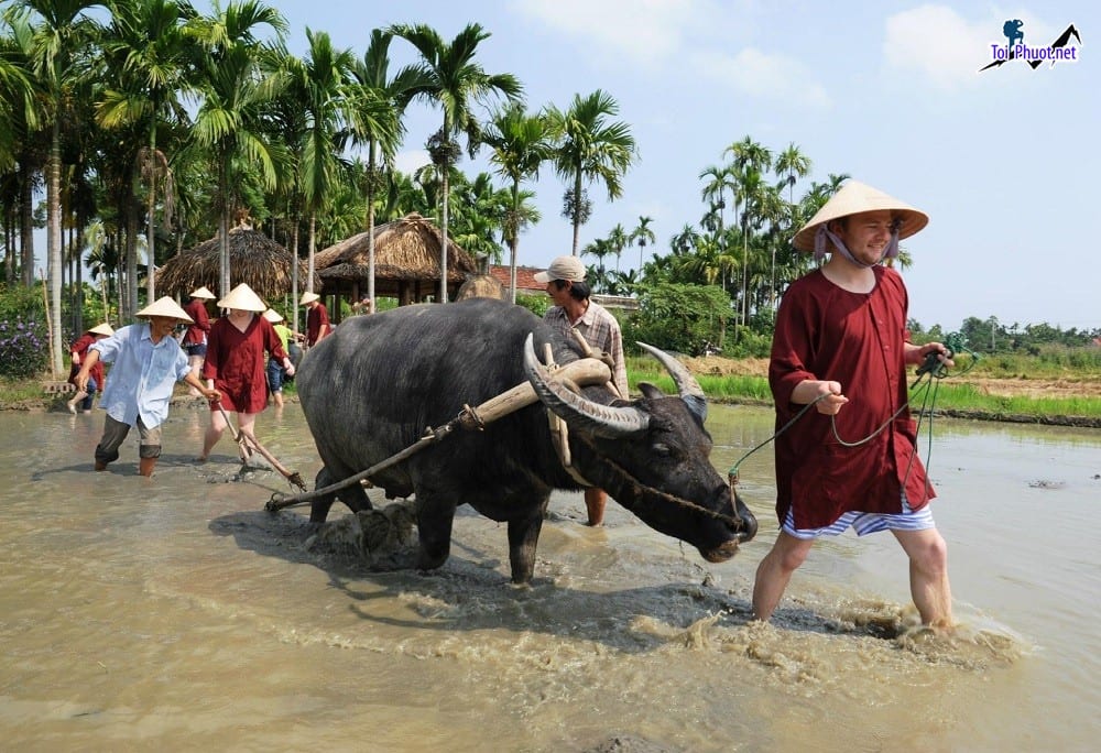 Dịch vụ du lịch trải nghiệm địa phương giúp ta hòa mình vào đời sống của người dân địa phương