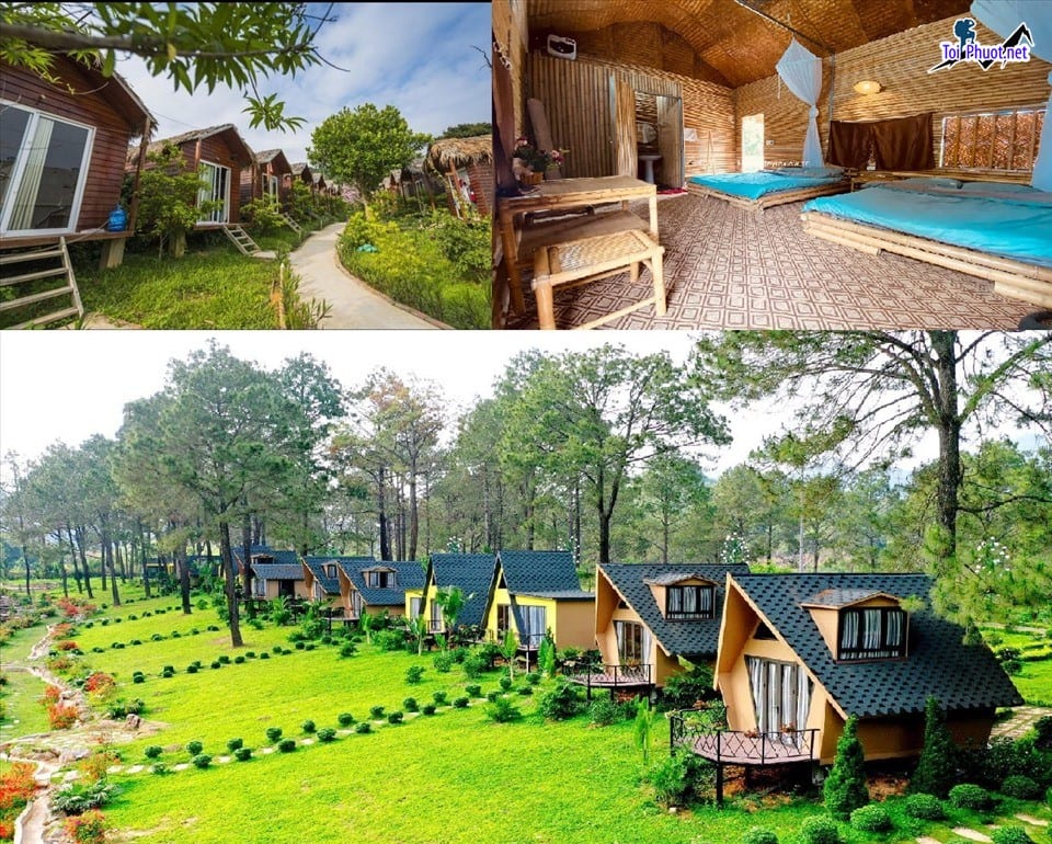 Dịch vụ du lịch trải nghiệm homestay 6 Đặc Trưng Làm Nên Loại Hình Homestay