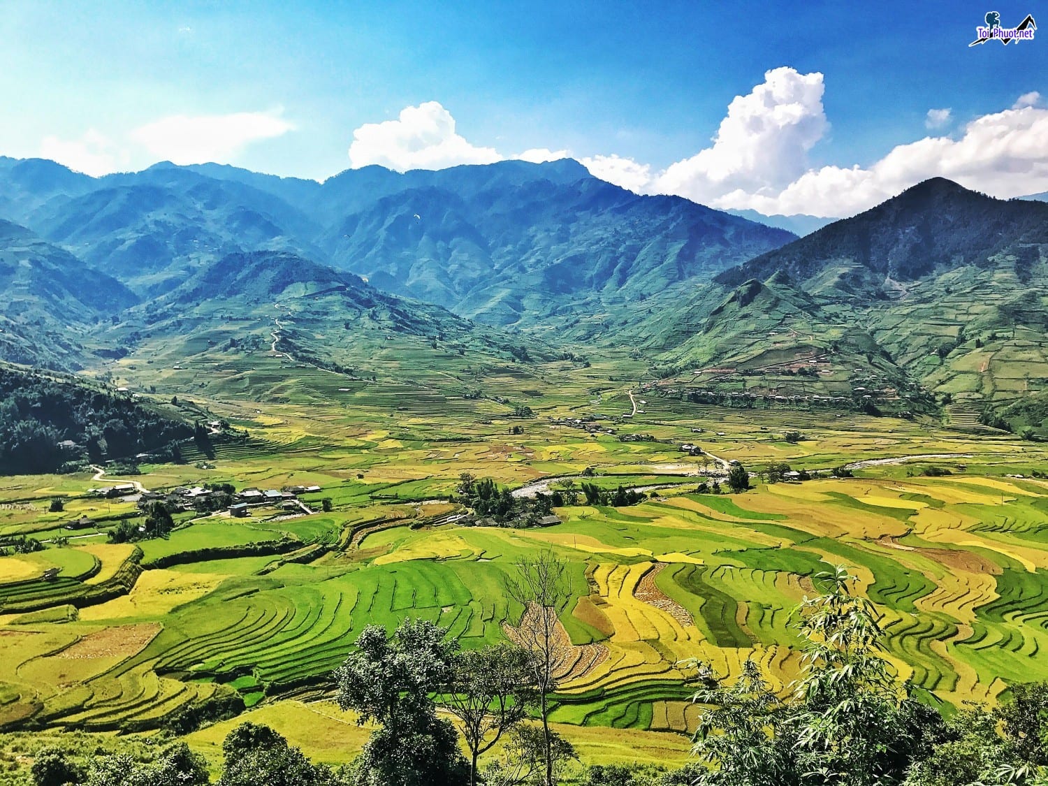 Dịch vụ khám phá mùa thu vàng Yên Bái đặc trưng của vùng cao Tây Bắc