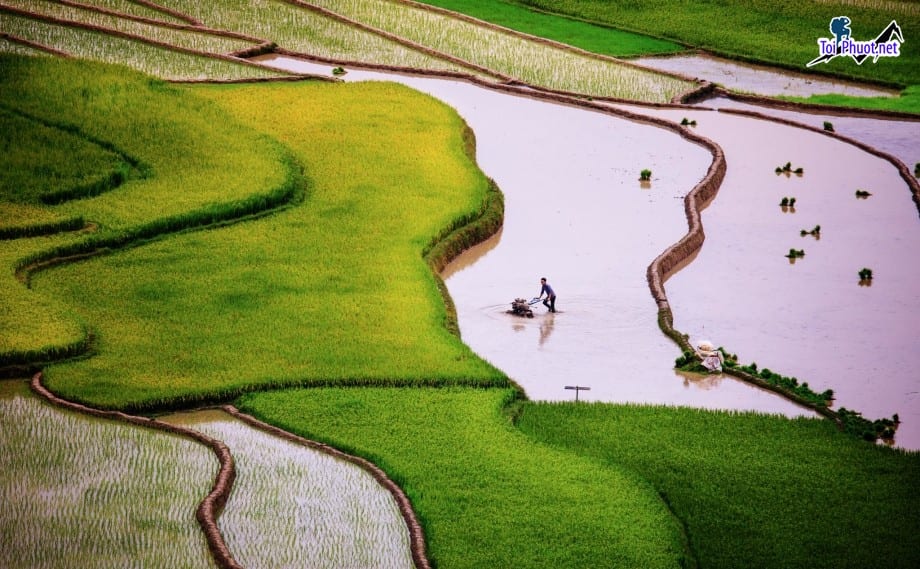 Dịch vụ săn ảnh mùa nước đổ ở Yên Bái nguồn cảm hứng vô tận của nghệ sỹ nhiếp ảnh