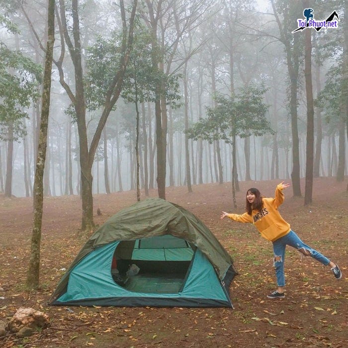 Dịch vụ thuê lều trại ở rừng quốc gia Cúc Phương khám phá hệ sinh thái phong phú