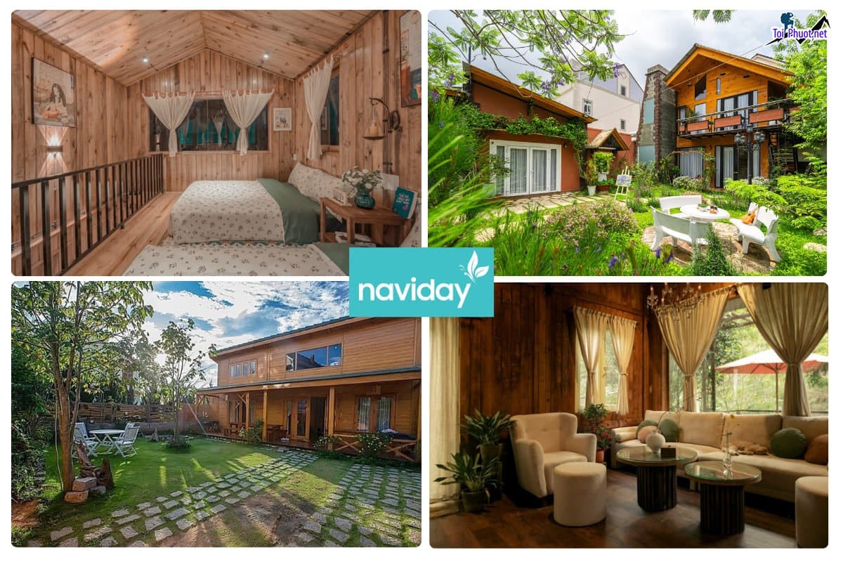 Dịch vụ thuê nhà gỗ trong rừng Đà Lạt homestay nhà gỗ Đà Lạt đẹp độc đáo