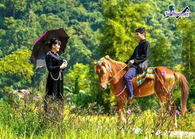 Dịch vụ thuê xe cưỡi ngựa tại khu nghỉ dưỡng trải nghiệm thú vị khi đi du lịch