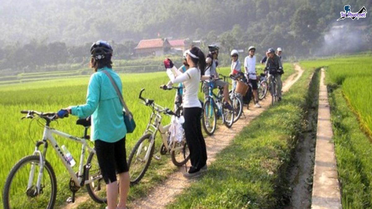 Dịch vụ thuê xe đạp tham quan vùng quê chìm đắm trong không gian yên bình