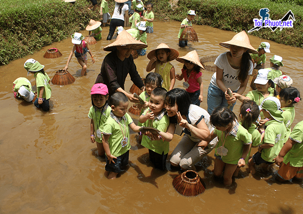 Dịch vụ tour dã ngoại cho trẻ em Giá Rẻ Kinh Nghiệm Du Lịch Dã Ngoại 2025