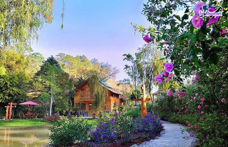 Dịch vụ tour đi săn ảnh phong cảnh tự nhiên Đà Lạt mộng mơ 1 ngày