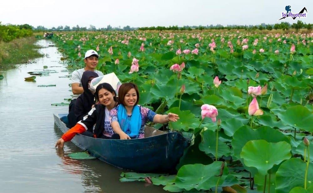Dịch vụ tour du lịch đồng bằng sông Cửu Long 4N3Đ Hành trình khám phá 8 tỉnh miền Tây