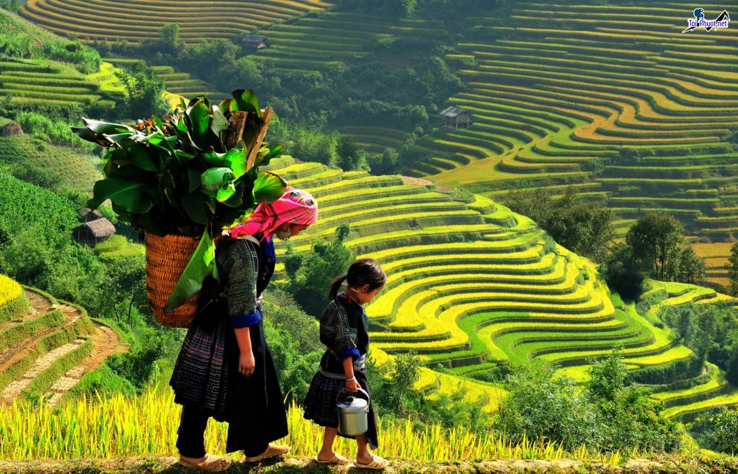 Dịch vụ tour du lịch núi non Tây Bắc khám phá vẻ đẹp tuyệt sắc vùng cao