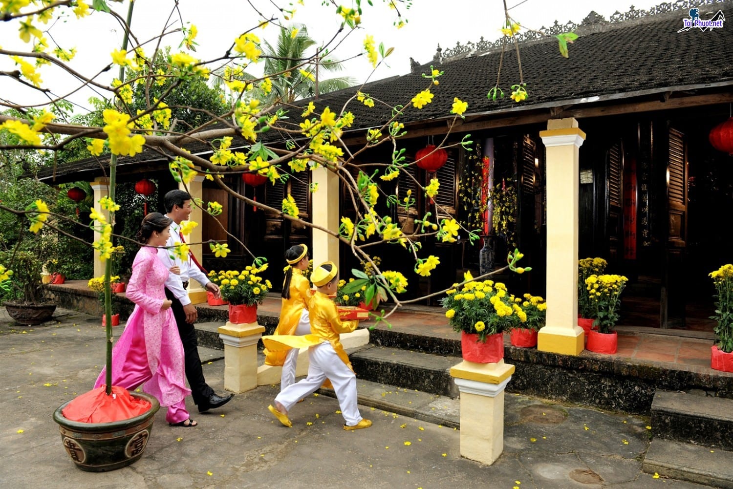 Dịch vụ tour du lịch Tết nguyên đán đi các điểm du lịch nổi tiếng mới lạ