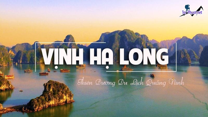 Dịch vụ tour Hà Nội – Hạ Long 2 ngày 1 đêm mang lại những trải nghiệm thú vị