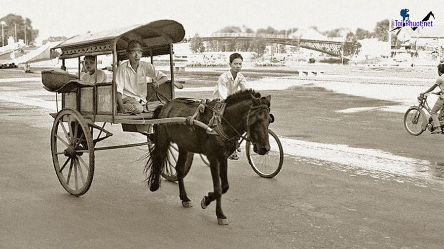 Dịch vụ trải nghiệm ngồi xe ngựa tại miền Tây để lại trong bạn ấn tượng khó phai nhạt