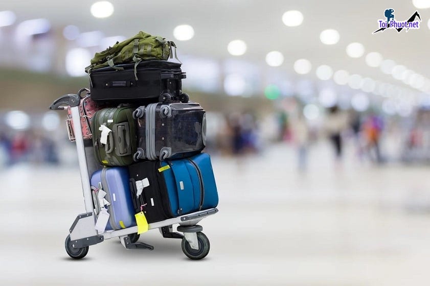 Dịch vụ vận chuyển hành lý ký gửi và những quy định chi tiết cần biết