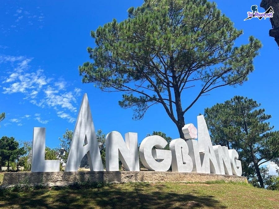 Đỉnh Núi Lang Biang Đà Lạt bộ cẩm nang ĐI LẠI - ĂN - CHƠI 2025