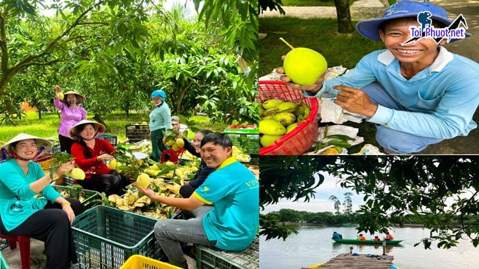 Du lịch nông thôn Đồng Tháp bảo tồn các giá trị văn hóa truyền thống mà còn góp phần kết nối (4)