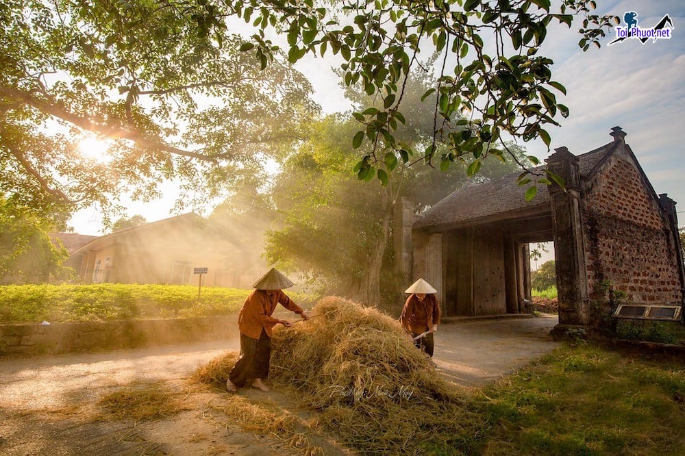 Khám phá 6 địa điểm tại Làng cổ Đường Lâm Hà Nội di sản văn hóa và kiến trúc đặc trưng