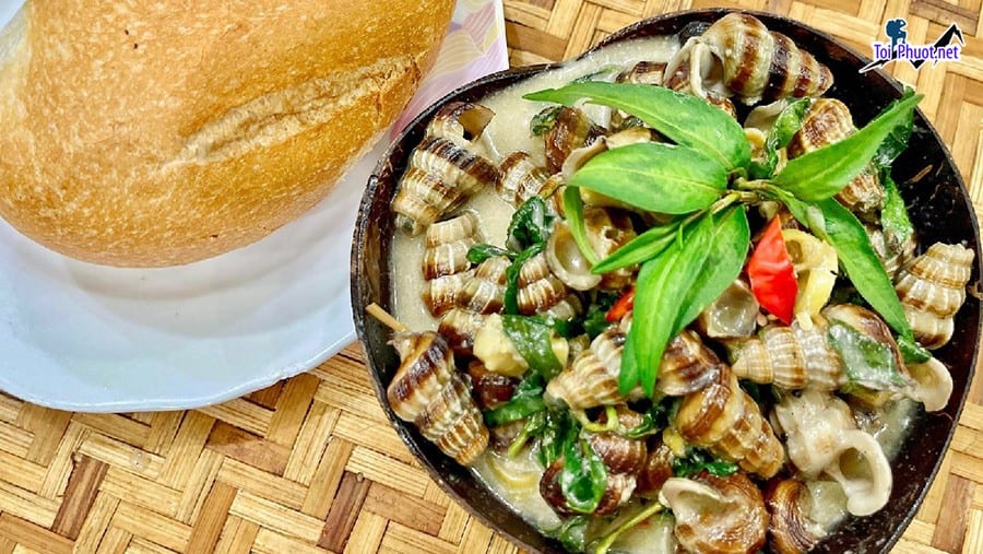 Ốc xào dừa miền Tây là đặc sản cực kỳ hấp dẫn mà bất cứ ai cũng muốn được thưởng thức