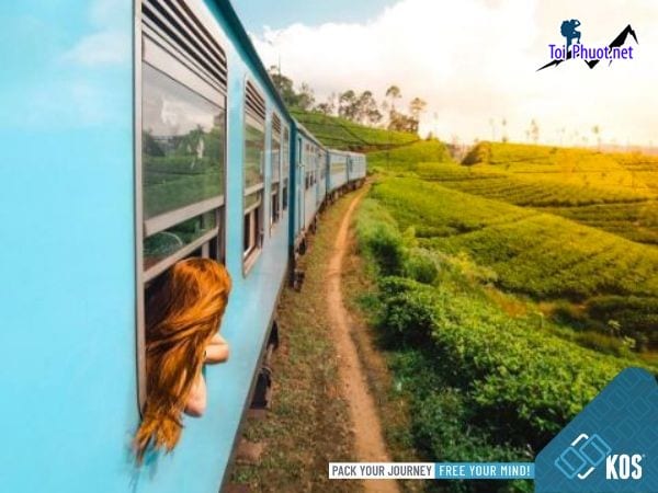 Tất tần tật kinh nghiệm đi tàu và Dịch vụ đặt vé tàu hỏa cabin riêng