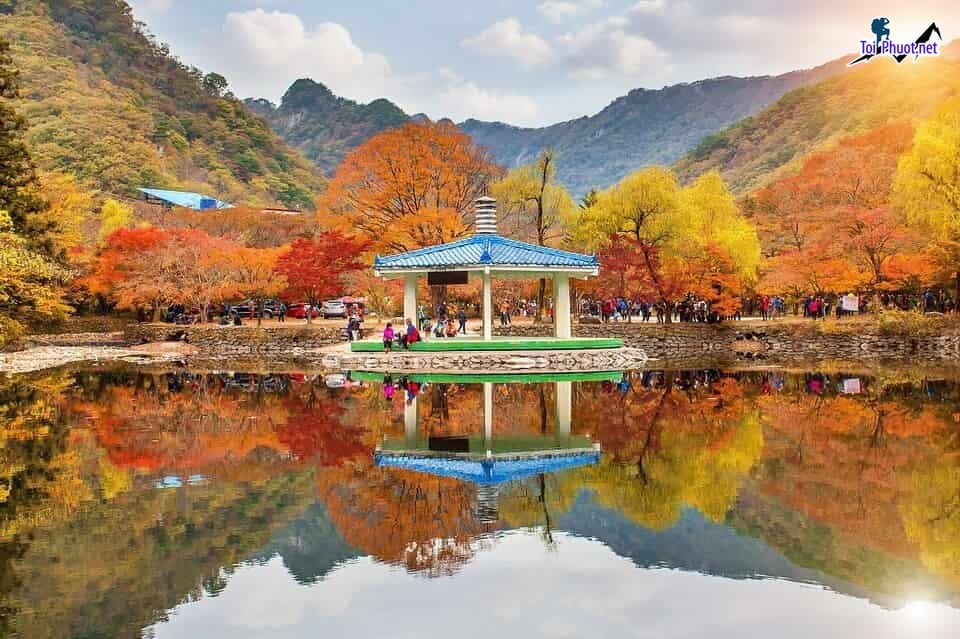 Tham quan chuyến du lịch Tour Hàn Quốc mùa thu có kì nghĩ dưỡng vui vẻ