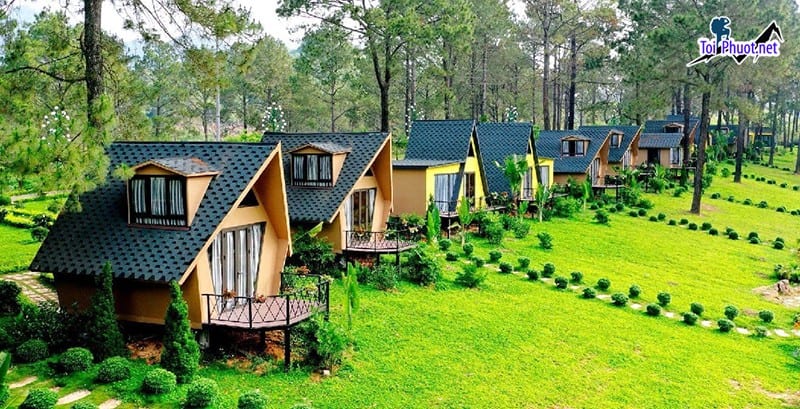 Tìm hiểu nét đặc trưng về Dịch vụ lưu trú ở nhà cổ phong cách xưa