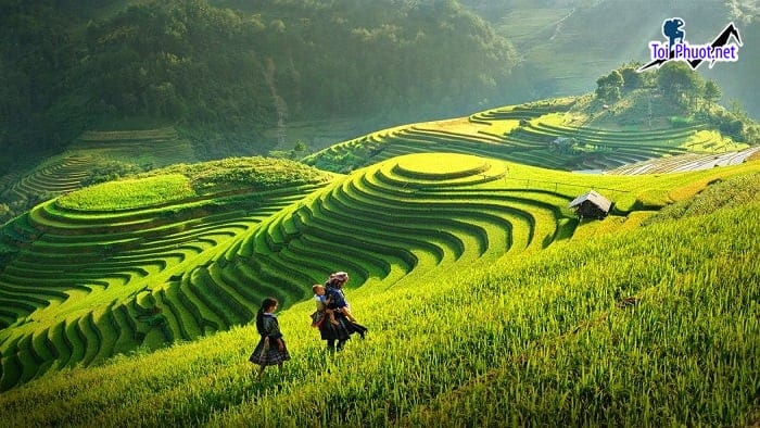 Tour du lịch xanh ở Việt Nam thu hút đông đảo khách du lịch trong và ngoài nước