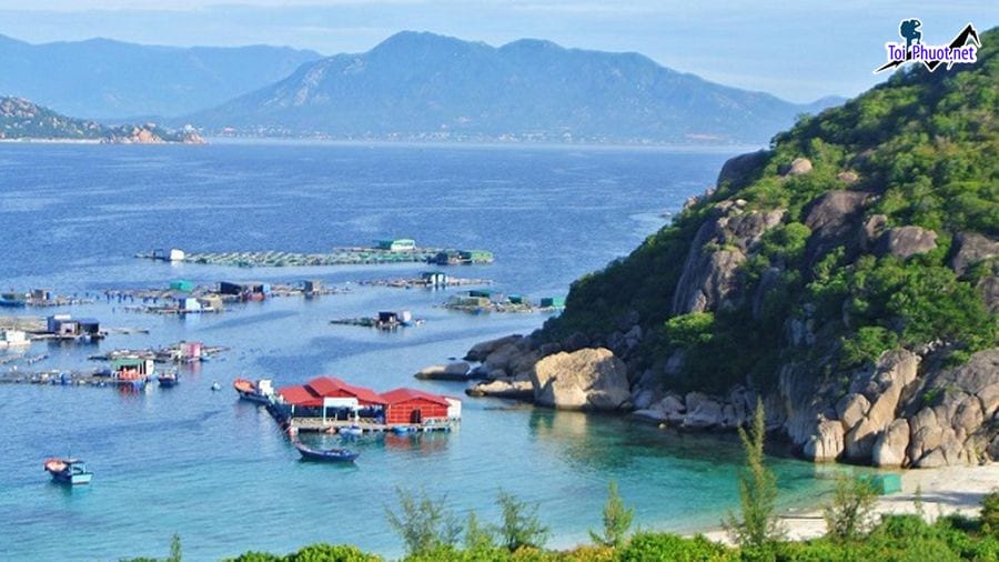 Trải nghiệm Dịch vụ đặt tiệc hải sản tại nhà bè cực độc đáo ở Nha Trang