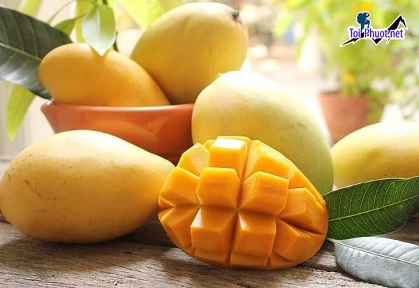 Xoài cát Hòa Lộc chúng ta có thể mua về ăn hoặc có thể chưng vào lễ tết