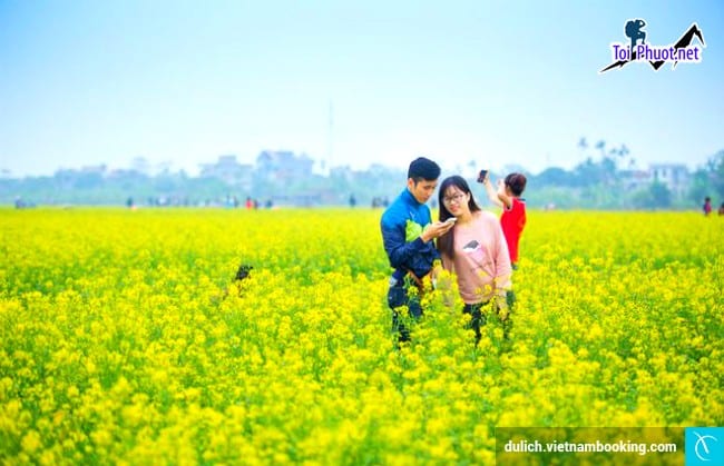 Cảm nhận sự quyến rũ kì lạ vùng đất Thái Bình kết hợp Tour du lịch giá rẻ thú vị