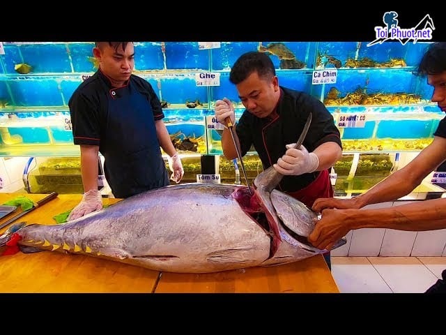 Bán cá Cung cấp cá ngừ đại dương Tây Ninh hải sản tươi sống giá sỉ tốt rẻ tốt