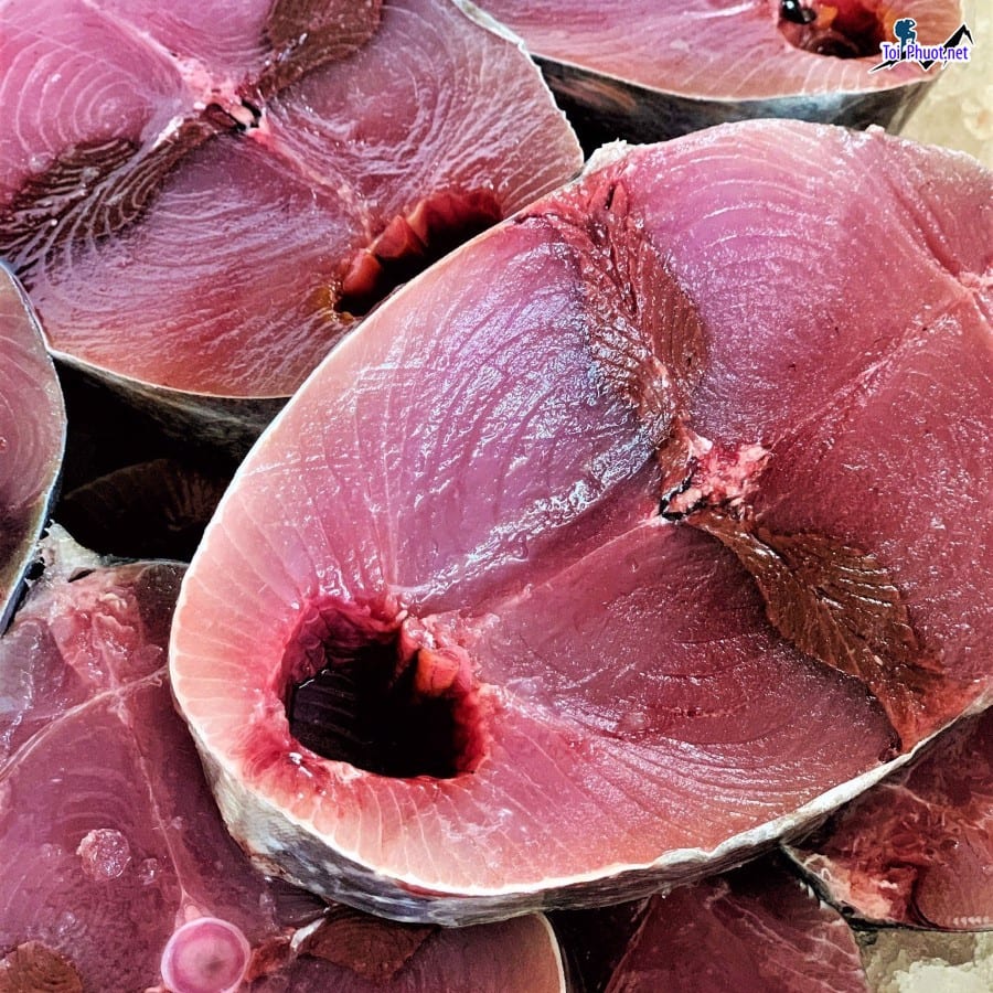 Cá lớn Cung cấp cá ngừ đại dương Thái Bình hải sản tươi sống giá sỉ tốt rẻ nhất cho bạn